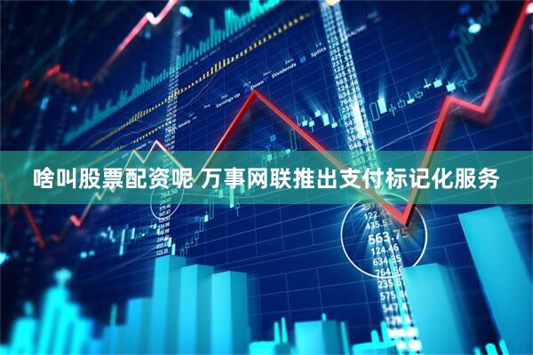 啥叫股票配资呢 万事网联推出支付标记化服务